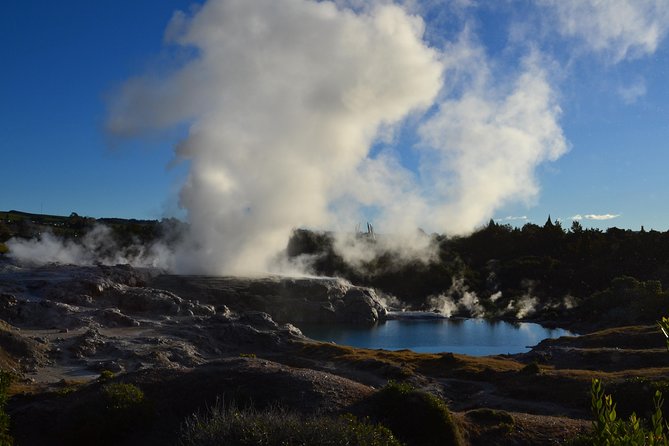 7 Hours Te Puia Rotorua Tour from Tauranga with Concert - Key takeaways before you book