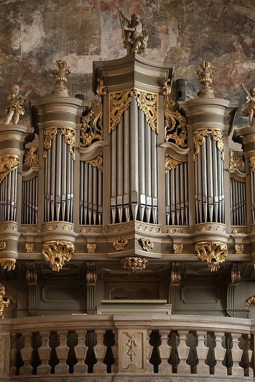 Budapest: Concert on the Oldest Working Organ in the City - Practical Notes That Actually Matter