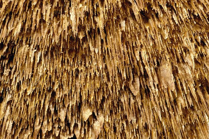 Caves of Drach Half-Day Tour with Boat Trip and Music Concert - Majorica Pearls showroom: fast browsing, special prices, and how not to feel rushed