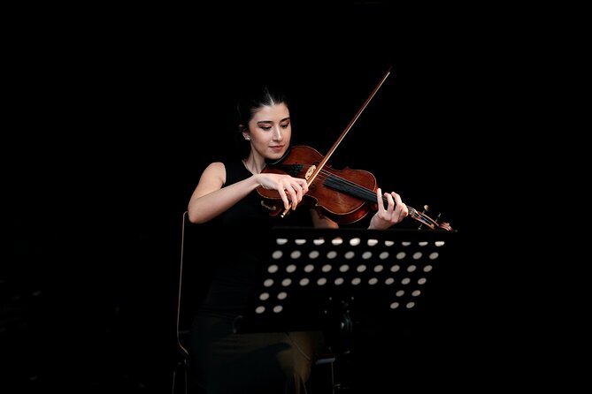 Concert at House of Music Vienna: Mozart, Strauss & the Masters - Price and value: what $35 really covers (and what it doesn’t)