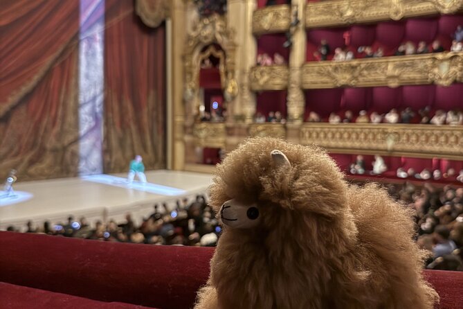 Exclusive Opera Garnier Private Guided Tour - Price and Value: Is $284.03 a Smart Spend?