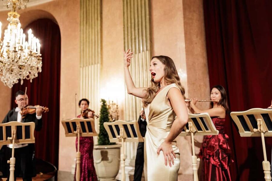 Imperial Gala Concert at Palais Auersperg - Palais Auersperg After Dark: the palace is half the show