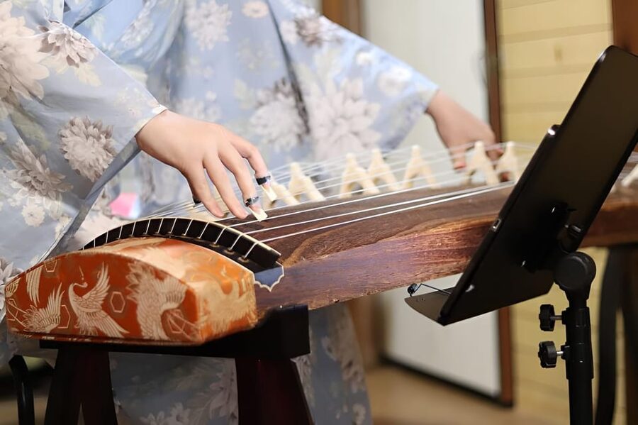 Kyoto: Japanese Music Concert and Music Class Experience - The pro musicians you’ll be learning from (Aoi and Shohei)