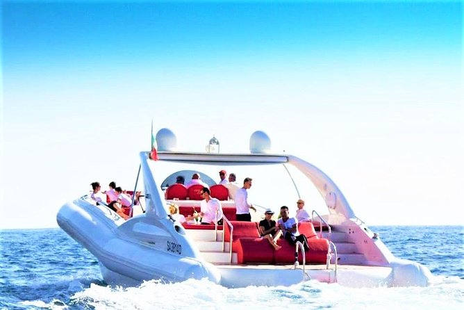 Luxury Opera 60 Whale & Dolphin Watching Experience - Key points to know before you book