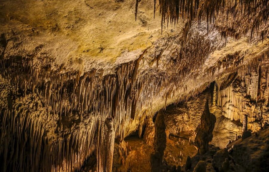 Palma: Caves of Drach Entrance, Music Concert, and Boat Trip - Key takeaways before you go