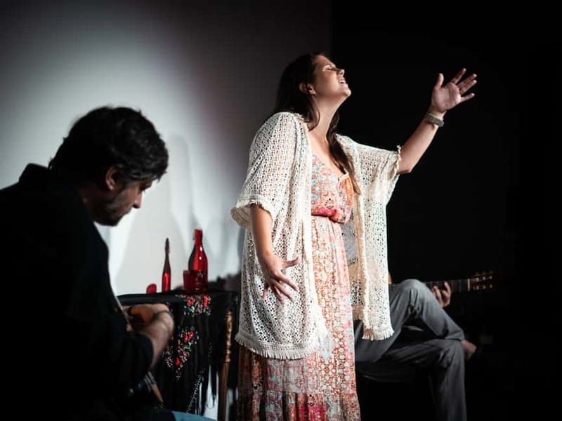 Porto: Live Fado Concert with Glass of Tawny Port Wine - Lisbon Fado: the intense roots of what started it all