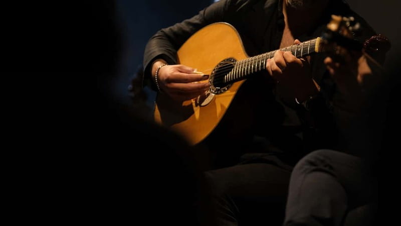 Porto: The highest-rated traditional fado concert (downtown) - Classic Fado Means Emotion Plus Improvisation
