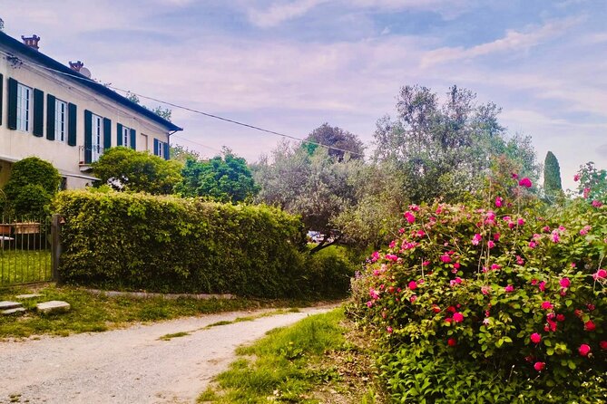 Private Concert in the Artist's House on the Hills of Lucca - Torre Guinigi and Torre delle Ore: two Lucca tower moments before the music