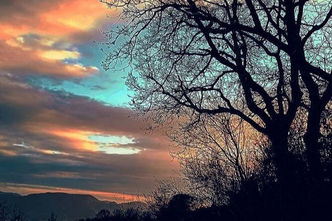 Private Concert in the Artist's House on the Hills of Lucca - Group size and language: what to expect with up to 15 people