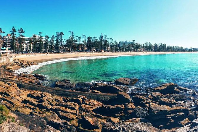 Private Sydney Tour Including Sydney Opera House, Bondi and Manly - The Opera House outside: the photo stop that anchors the whole day