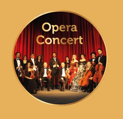 Rome: Musical Biography of Frank Sinatra Concert - The Audience Experience: Close, Private, and Worth Paying For