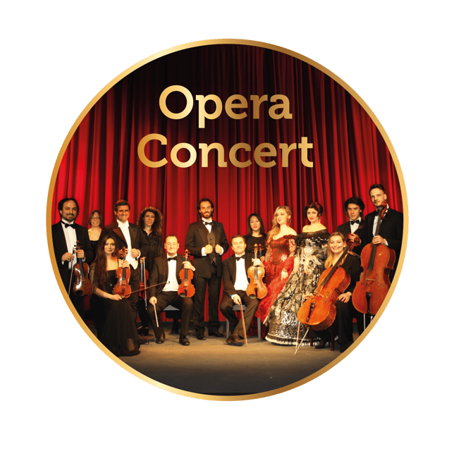 Rome: Musical Biography of Frank Sinatra Concert - The Audience Experience: Close, Private, and Worth Paying For
