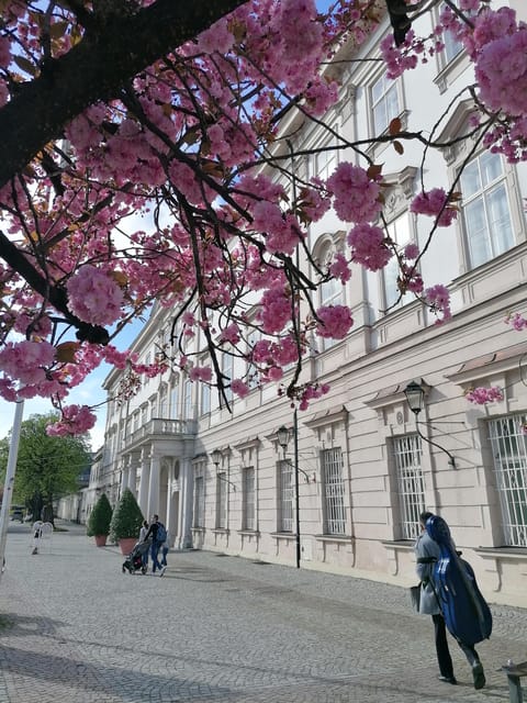Salzburg: Classical Music Concert at the Mirabell - What you’ll hear: Mozart, Bach, and rotating performance formats