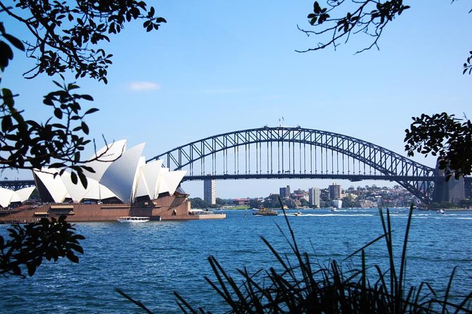 Sydney Half Day Private Tour: See Sydney Opera House and Bondi - Why this half-day private plan works so well