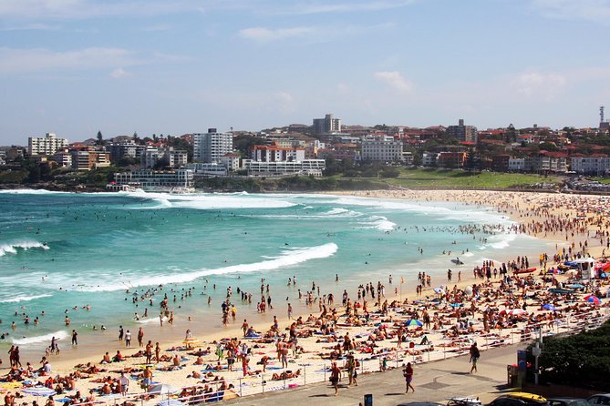 Sydney Half Day Private Tour: See Sydney Opera House and Bondi - Mrs Macquarie’s Chair: the bridge-frame picture you’ll remember