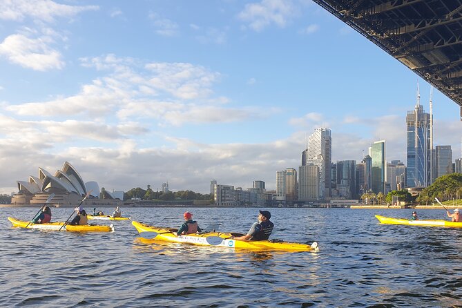 Sydney LED Lit Kayak Tour of the Opera House and Bridge - Who this Sydney LED-lit kayak tour suits (and who should skip it)