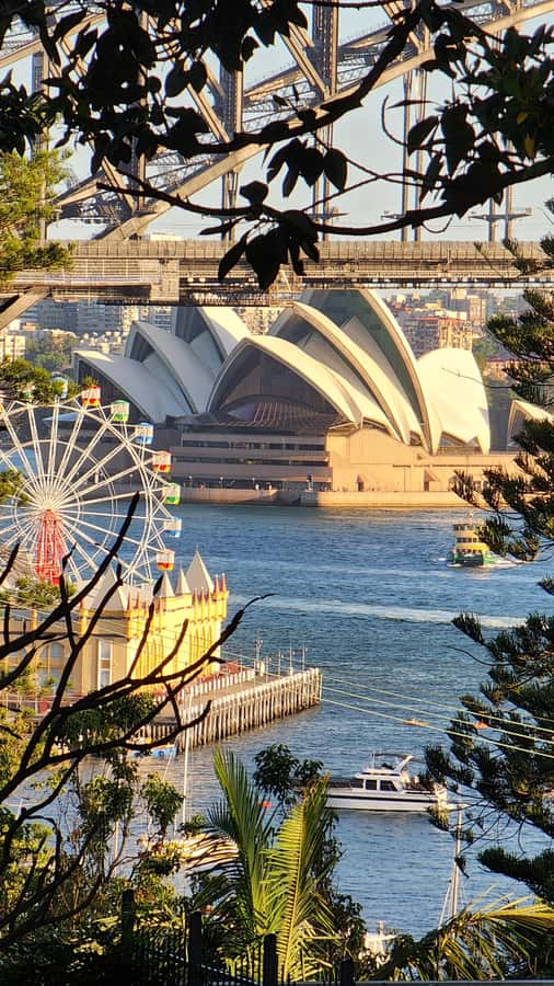 Sydney: Opera & Harbour Bridge Small-Group Kayak Tour - Key highlights you’ll care about before you go