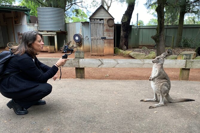 Sydney Opera House and Aussie Animals Private Tour - Key highlights