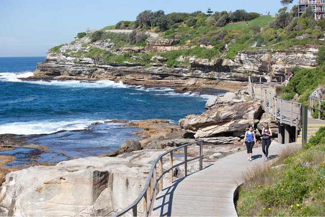 Sydney Opera House Tour & Dine Experience - The meal part: choosing Opera Bar, House Canteen, or Midden by Mark Olive