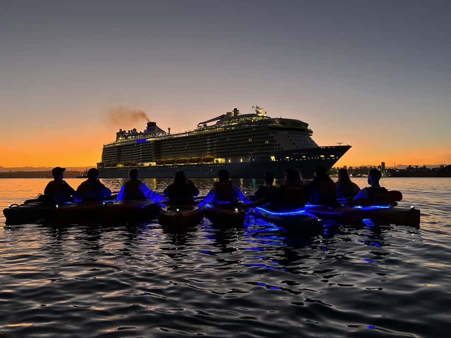Sydney: Sunrise Kayak, Opera House & Under Harbour Bridge - How the 2 Hours Actually Feel: Group Size, Paddling Effort, and Pace
