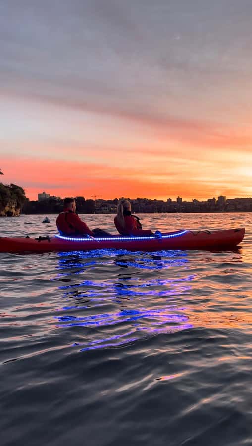 Sydney: Sunrise Kayak, Opera House & Under Harbour Bridge - What to Bring for a Cold, Wet, and Perfectly Worth-It Morning