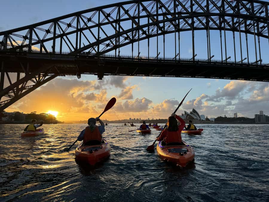 Sydney: Sunrise Kayak, Opera House & Under Harbour Bridge - FAQ