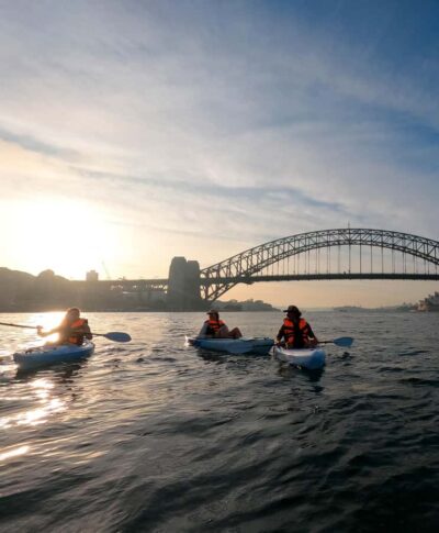 Sydney: Sunset Kayak - Opera & Harbour Bridge Tour (5p. max) - Luna Park photo stop and dolphin-watch pacing