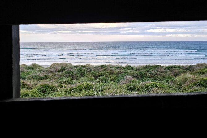 Twilight at the Opera - Sunset in the private reserve: your best odds for hoiho returning