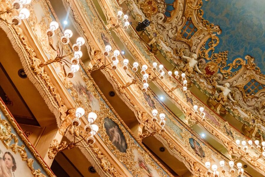 Venice: La Fenice Opera House Entry Ticket with Audio Guide - Timing and fees: schedule checks for both the theatre and Venice