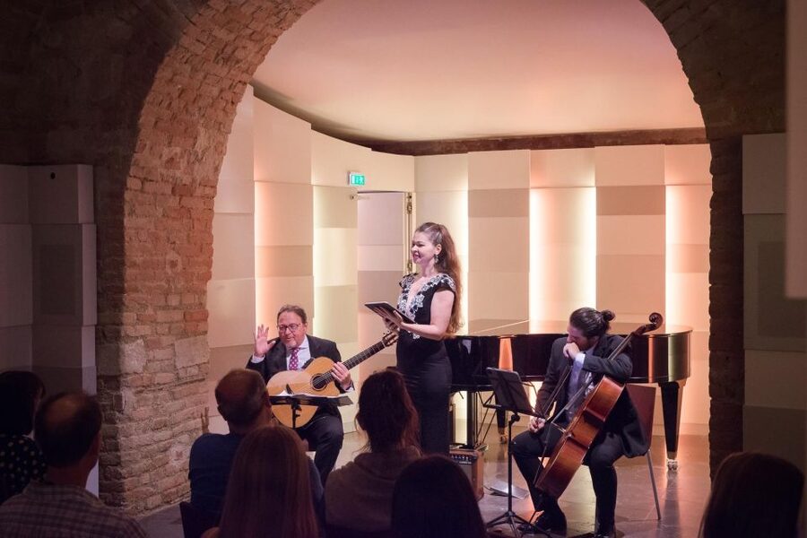 Vienna: Classical Concert at Mozarthaus with Museum Entry - Who this concert is best for