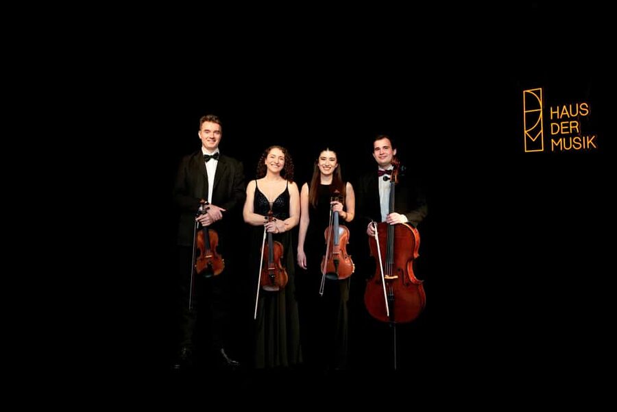 Vienna: Classical Masters Concert at Haus der Musik - Listening in an intimate hall: acoustics, sightlines, and the small-room feel