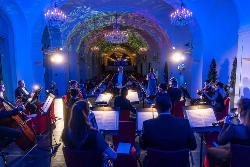 Vienna: Dinner & Concert at Schönbrunn Palace - Price and value: is $120 a bargain or a splurge?