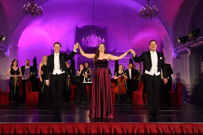 Vienna: Mozart and Strauss Concert at Schönbrunn - Intermission at Schönbrunn: Bar Time and the Garden (Seasonal)