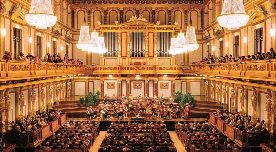 Vienna: Mozart Concert with Dinner and Carriage Ride - Who This Works Best For (and Who Might Want a Different Plan)