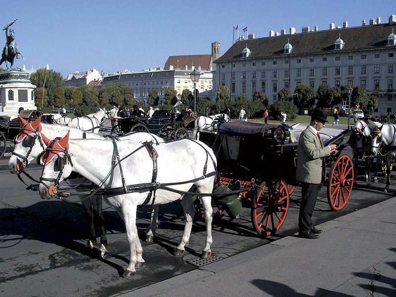 Vienna: Mozart Concert with Dinner and Carriage Ride - Should You Book This Vienna Mozart Concert with Dinner and Carriage Ride?