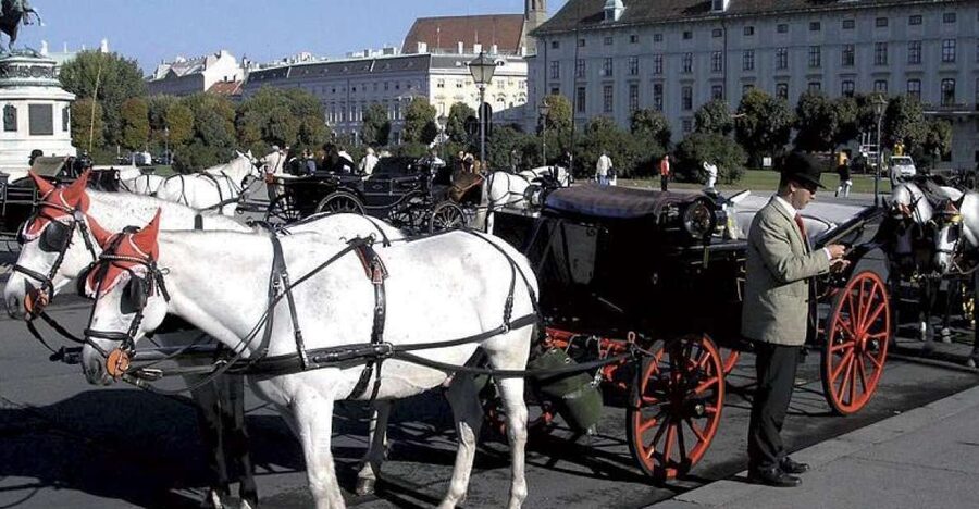 Vienna: Mozart Concert with Dinner and Carriage Ride - From Mozart Guide to the Carriage: The 20-Minute Old Town Loop