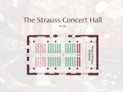 Vienna: Strauss Classical Concert with Soprano & Light Show - 7:00 PM to Concert Time: How the Evening Flows