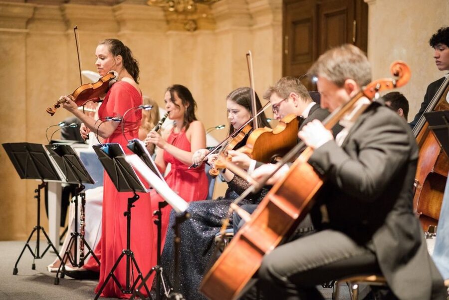 Vienna Supreme Orchestra at Palais Niederösterreich - Who This Concert Is Best For