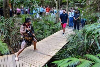 Waitangi: Treaty Grounds Hāngī and Concert Combo Pass - Value check: why the $111 combo pass can feel like a lot of experience