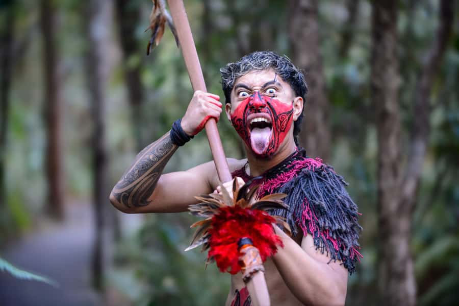 Waitangi: Treaty Grounds Hāngī and Concert Combo Pass - The cultural performance: high energy, tight pacing, and real interaction